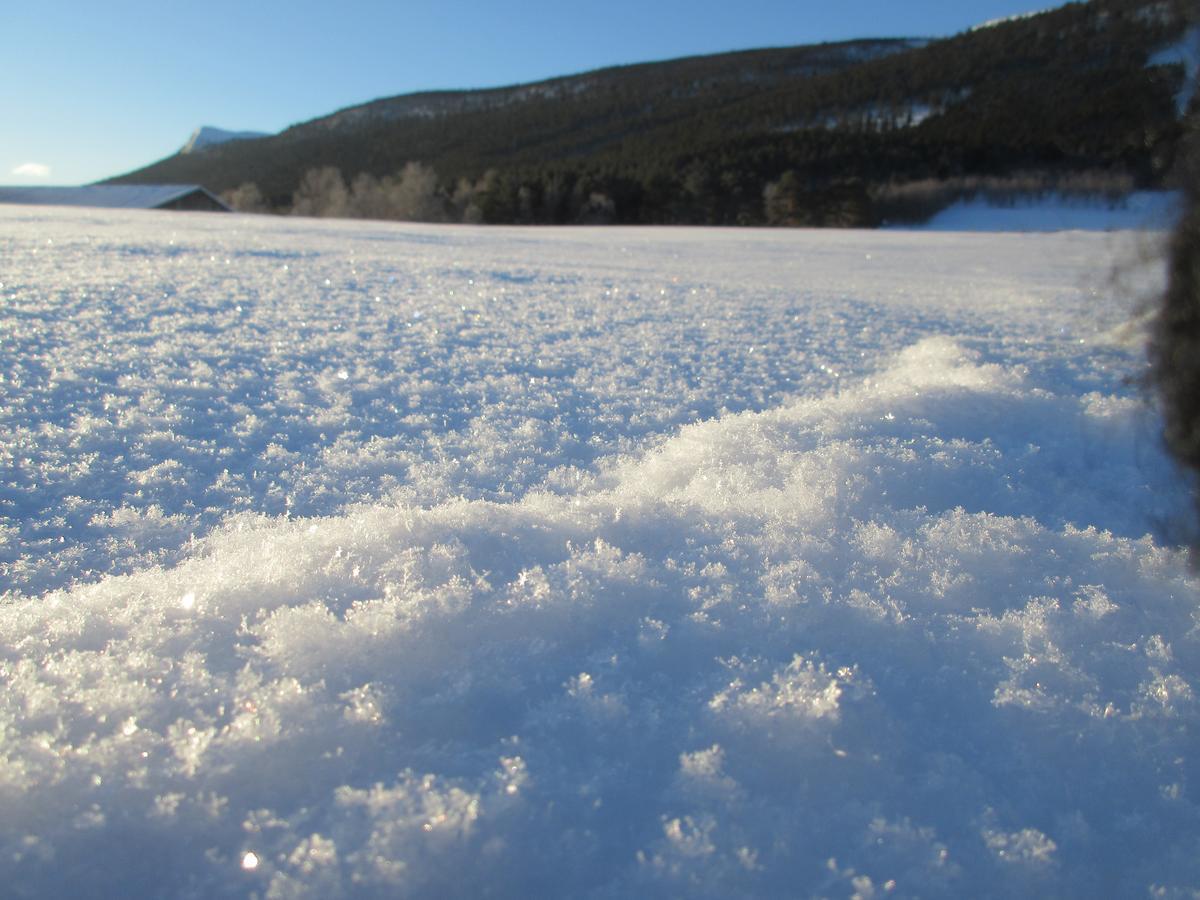 Toftemo Turiststasjon Dovre